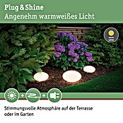 Paulmann Plug & Shine LED-Dekoleuchte Stone (2,8 W, Weiß, L x B x H: 28 x 28 x 16,6 cm)