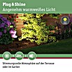 Paulmann Plug & Shine LED-Gartenspot-Set Sting (3-flammig, 6 W, Erdspieß, IP67)