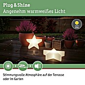 Paulmann Plug & Shine LED-Dekoleuchte Star (2,8 W, Weiß, L x B x H: 10 x 40 x 40 cm)