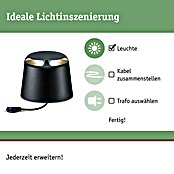 Paulmann Plug & Shine LED-Außenleuchte (6 W, Warmweiß, IP67, Ø x H: 19,3 cm x 15,5 mm)