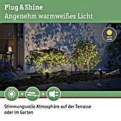 Paulmann Plug & Shine LED-Gartenspot-Set Pike (3 x 3,5 W, 230/24 V, IP65, Höhe: 31 cm)