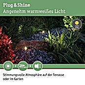 Paulmann Plug & Shine LED-Gartenspot-Set Plantini (1-flammig, 2,5 W, Erdspieß, IP65)