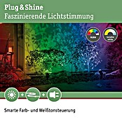 Paulmann Plug & Shine Erdspieß-Strahler Pike (1-flammig, 4,5 W, Höhe: 22,5 cm, IP44)