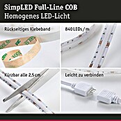 Paulmann LED-Band (Länge: 300 cm, Lichtfarbe: RGB, 30 W, 230 V) | BAUHAUS