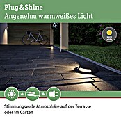 Paulmann Plug & Shine LED-Außenleuchte (6 W, Warmweiß, IP67, Ø x H: 16 x 3,2 cm)