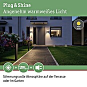 Paulmann Plug & Shine LED-Außenleuchte (6 W, Warmweiß, IP67, Ø x H: 19,3 cm x 15,5 mm)