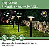 Paulmann Plug & Shine LED-Außenleuchte Plate (1-flammig, 6 W, Warmweiß, IP44)