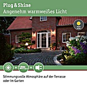 Paulmann Plug & Shine Basis-Set LED-Gartenstrahler Classic (5,1 W, Anthrazit, Ø x H: 8,8 x 26,5 cm, 230 V, Kabellänge: 5 m) | BAUHAUS