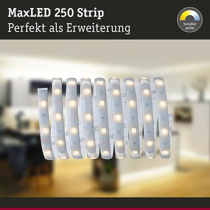 Paulmann MaxLED 250 LED-Band Tunable White Protecting Cover IP44 - Länge: 2,5 m, Neutralweiß, 9 W, 675 lm, IP44 - Nahaufnahme eines flexiblen MaxLED 250 LED-Streifens mit einstellbarem Weißton. Ideal zur Erweiterung von Beleuchtungssystemen.
