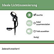 Paulmann Plug & Shine LED-Gartenspot Sting (6 W, Höhe: 29 cm, Erdspieß, 24 V)