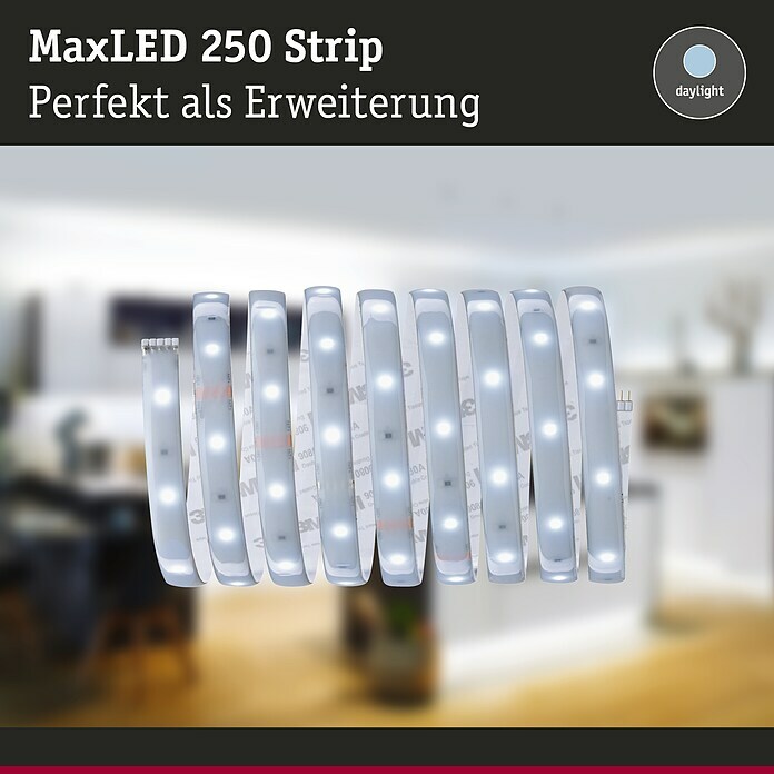 Paulmann MaxLED 250 LED-Band IP44 (2,5 m, Tageslichtweiß, IP44) | BAUHAUS