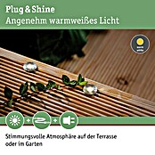 Paulmann Plug & Shine LED-Gartenspot-Set Micro Pen II (Anzahl Leuchtmittel: 5 Stk., 0,22 W, Silber)