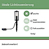 Paulmann Plug & Shine LED-Gartenstrahler Minipoller (Ø x H: 8 x 22 cm, 2 W, Anthrazit, IP44) | BAUHAUS