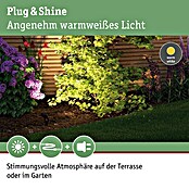 Paulmann Plug & Shine LED-Gartenspot-Set Sting Erweiterung (6 W, Anthrazit, 24 V, 3 Stk., Ø x H: 5,2 x 29 cm) | BAUHAUS