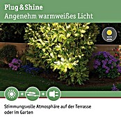 Paulmann Plug & Shine LED-Gartenspot (6 W, Warmweiß, IP67, Ø x H: 14 x 15 cm, Abstrahlwinkel: 20 °)