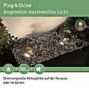Paulmann Plug & Shine LED-Gartenspot Floor Mini (2,5 W, 24 V, IP65)