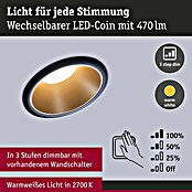 Paulmann LED-Einbauleuchte Cole (19,5 W, Schwarz/Gold, Warmweiß, 3 Stk.) | BAUHAUS