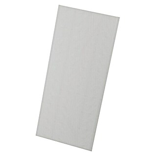 Probau Gipskartonplatte Easy (2.000 x 900 x 12,5 mm)