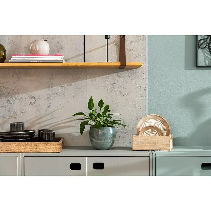 Schale Tabo - Ø x H: 11,5 x 3,5 cm, Schwarz - Nahaufnahme eines Regals mit einer Pflanze, Tellern und Tassen. Das Dekor betont die gemütliche und natürliche Atmosphäre des Raumes.