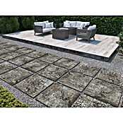 Terrassenfliese Persian Black 2.0 (60 x 60 x 2 cm, Schwarz, Matt) | BAUHAUS