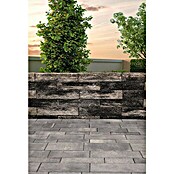 EHL Mauerstein Anzio (Grau/Anthrazit, 60 x 15 x 12 cm, Beton)