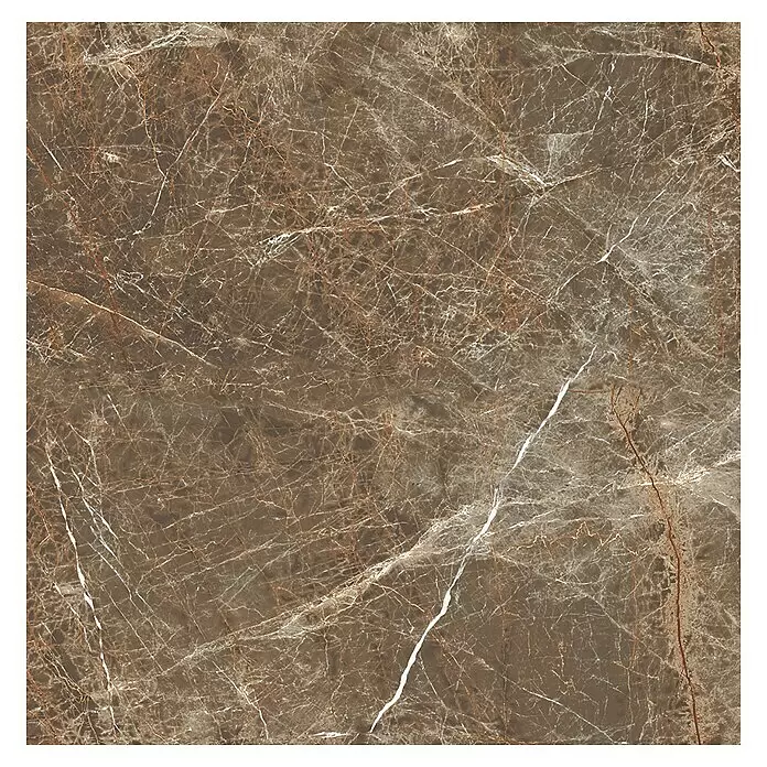 Feinsteinzeugfliese Perla - 60 x 60 cm, Braun, Glänzend - Draufsicht