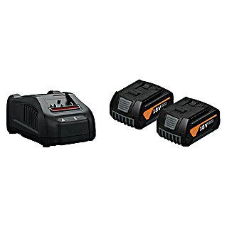 Fein AMPShare 18V Batería y cargador (18 V, 2 baterías, 5 Ah)