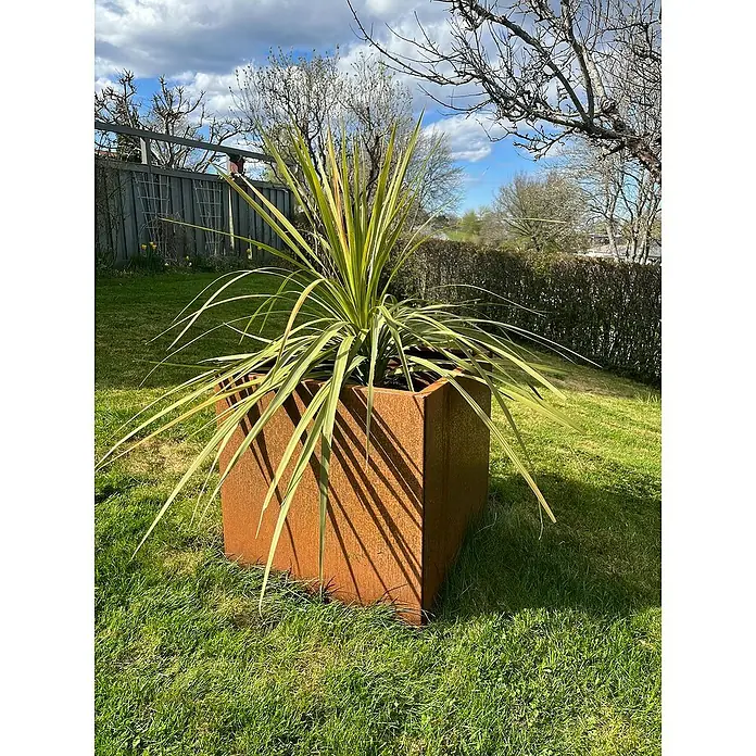 Recal Pflanzkübel eckig - Außenmaß (L x B x H): 57 x 57 x 57 cm, Metall, Braun - Dekorative Pflanze in einem Cortenstahl-Pflanzgefäß auf einem Rasen. Ideal für Garten und Terrasse.