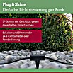 Paulmann Plug & Shine Controller (Max. Leistung: 75 W, Schwarz, IP68)