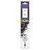 Ipuro Essentials Raumduft Scented Sticks 