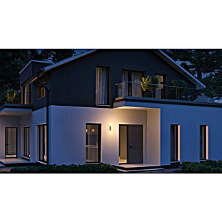 Steinel Wandlamp voor buiten L 30 S (15 W, 10,8 x 12,2 x 26,1 cm, antraciet, IP44, Met bewegingssensor)