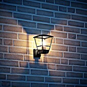 Steinel Aplique exterior L 10 (15 W, 22,4 x 17,5 x 24,2 cm, Negro, IP44, Sin sensor de movimiento) | BAUHAUS