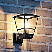 Steinel Aplique exterior L 10 (15 W, 22,4 x 17,5 x 24,2 cm, Negro, IP44, Sin sensor de movimiento) | BAUHAUS