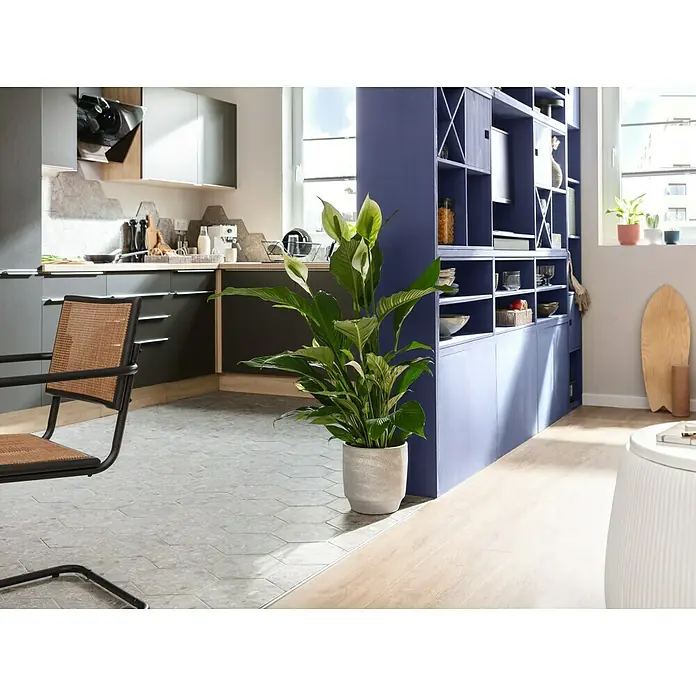 Piardino EinblattSpathiphyllum floribundum 'Lauretta', Topfgröße: 24 cm, Weiß - Ein großes, üppiges Zimmerpflanze mit glänzend grünen Blättern steht in einem stilvollen, modernen Interieur. Ideal für frische Akzente.