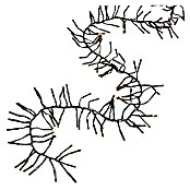 Konstsmide LED-Clusterlichterkette (Außen, Länge: 13,6 m, 1.152 Stk., Netzbetrieben) | BAUHAUS