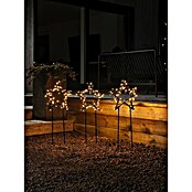 Konstsmide LED-Gartenstecker Stern 3er-Set (Schwarz, Bernstein, Außen, 3 Stk.) | BAUHAUS