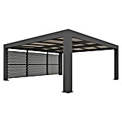 Abson Endwand für Doppelcarport (Passend für: Abson Doppelcarport Cubus)