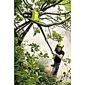 Ryobi ONE+ Akku-Hochentaster OPP 1820 (18 V, Li-Ionen, Ohne Akku, Arbeitshöhe: Bis zu 4 m)