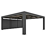 Abson Endwand für Carport (Passend für: Abson Doppelcarport Cubus) | BAUHAUS