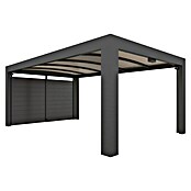 Abson Endwand für Carport (Passend für: Abson Einzelcarport Cubus) | BAUHAUS