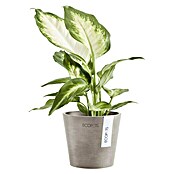 Ecopots Amsterdam Pflanztopf Mini (Außenmaß (Ø x H): 10,5 x 9,2 cm, Kunststoff, Braungrau) | BAUHAUS