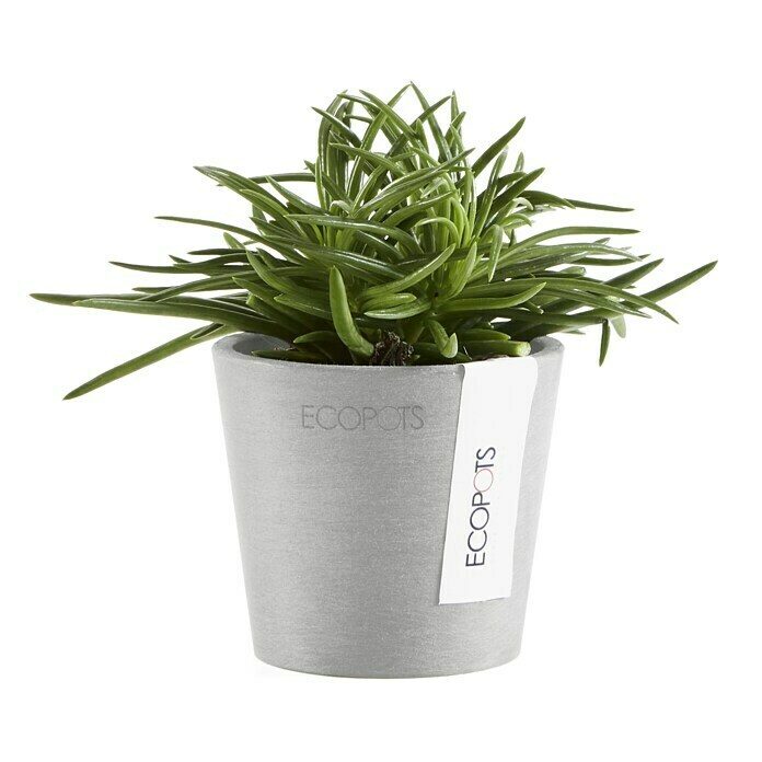 Ecopots Amsterdam Pflanztopf Mini (Außenmaß (Ø x H): 8 x 7 cm, Kunststoff, Weiß, Grau) | BAUHAUS