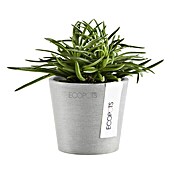 Ecopots Amsterdam Pflanztopf Mini (Außenmaß (Ø x H): 8 x 7 cm, Kunststoff, Weiß, Grau) | BAUHAUS