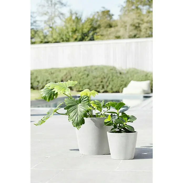 Ecopots Amsterdam Pflanzkübel rund - Außenmaß (Ø x H): 20 x 17,2 cm, Kunststoff, Weiß, Mit Bewässerungssystem - Zwei EcoPots Pflanztöpfe aus robustem Material mit grünen Pflanzen auf einer Terrasse, die eine stilvolle und natürliche Atmosphäre schaffen.