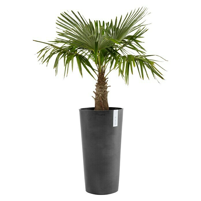 Ecopots Amsterdam Pflanzsäule rund High (Außenmaß (Ø x H): 41 x 76 cm, Kunststoff, Dunkelgrau) | BAUHAUS