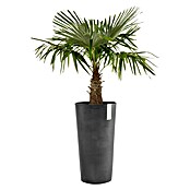 Ecopots Amsterdam Pflanzsäule rund High (Außenmaß (Ø x H): 50 x 90 cm, Kunststoff, Dunkelgrau) | BAUHAUS