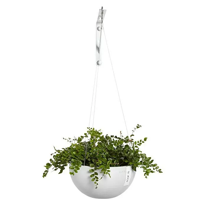 Ecopots Brussels Hängeampel Brussel - Ø x H: 26,7 x 12,8 cm, Kunststoff, Weiß - Weißer Hängepflanzer mit üppigem Grün, aufgehängt an dünnen weißen Schnüren.