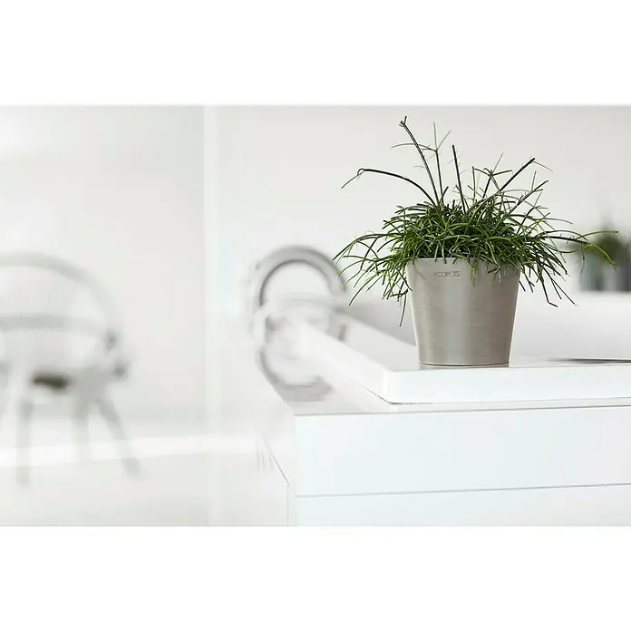 Ecopots Amsterdam Pflanztopf Mini - Außenmaß (Ø x H): 10,5 x 9,2 cm, Kunststoff, Braungrau - Nahaufnahme einer trendigen Ecopots Pflanze in einem stilvollen, minimalistischen Interieur, die modernes Design und natürliche Elemente vereint.