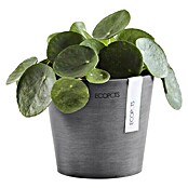 Ecopots Amsterdam Pflanztopf Amsterdam (Außenmaß (Ø x H): 13 x 11,4 cm, Kunststoff, Grau) | BAUHAUS