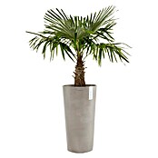 Ecopots Amsterdam Pflanzsäule rund High (Außenmaß (Ø x H): 50 x 90 cm, Kunststoff, Braungrau) | BAUHAUS